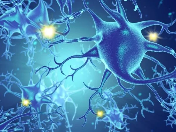 neuroscienze affettive